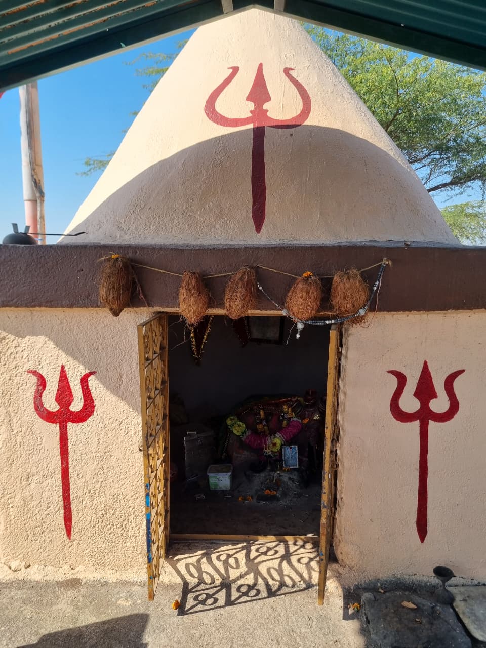 WhatsApp Image 2026-01-14 at 11.04.16 AM