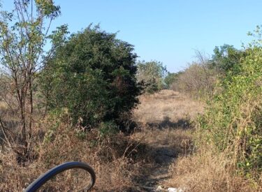 WhatsApp Image 2026-01-15 at 8.31.58 PM (1)