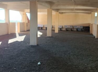 WhatsApp Image 2026-01-15 at 8.31.58 PM