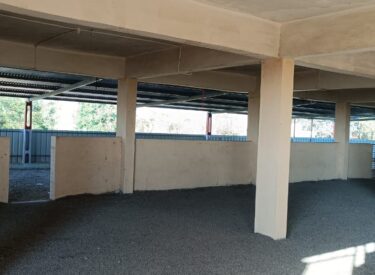 WhatsApp Image 2026-01-15 at 8.31.59 PM (1)