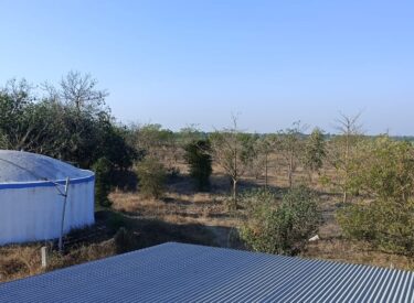 WhatsApp Image 2026-01-15 at 8.32.00 PM