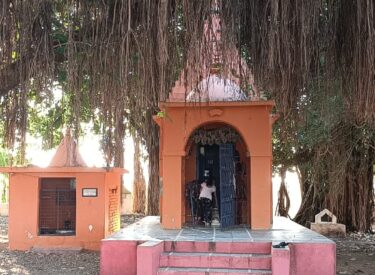 WhatsApp Image 2026-01-15 at 8.34.12 PM (1)