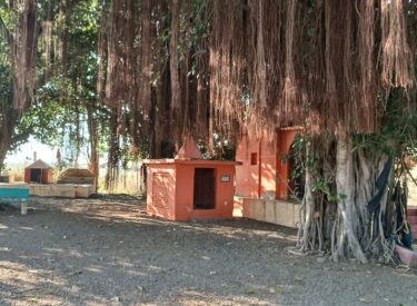 WhatsApp Image 2026-01-15 at 8.34.12 PM