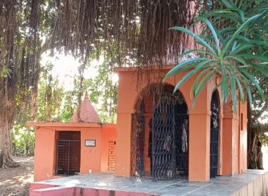 WhatsApp Image 2026-01-15 at 8.34.13 PM